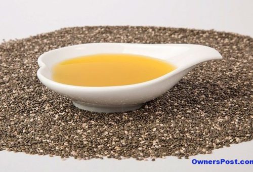 Chia Tohumu Yağının Faydaları Nelerdir?